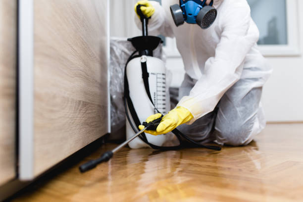 Best Pest Inspection Near Me  in Mokena, IL