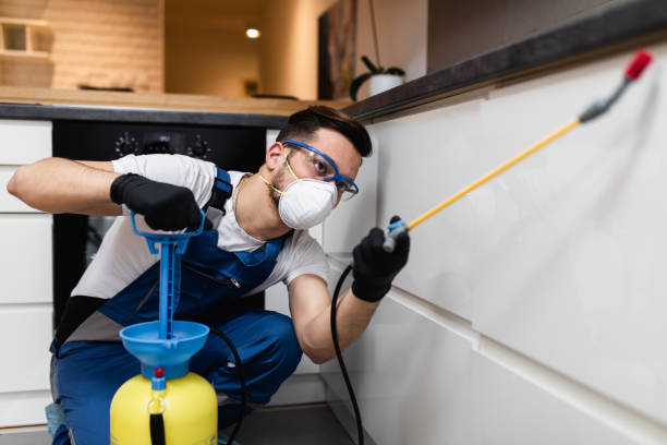 Best Pest Control for Businesses  in Mokena, IL