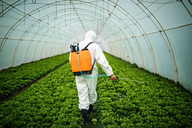 Best Best Pest Control Companies  in Mokena, IL