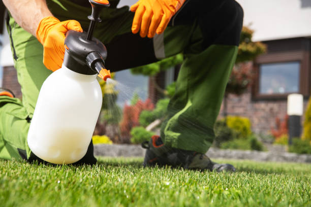 Best Best Pest Control Companies  in Mokena, IL