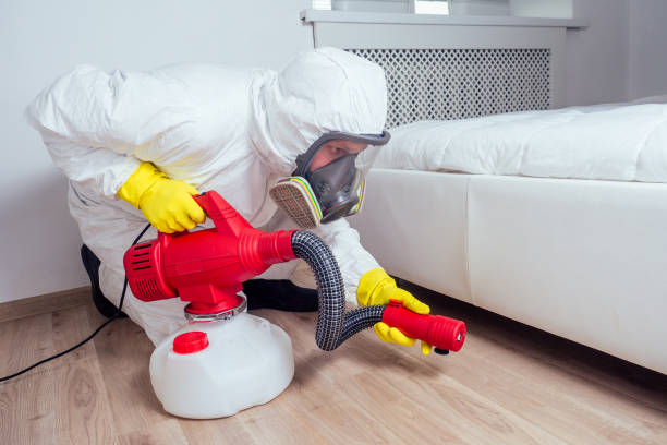 Best Affordable Pest Control Services  in Mokena, IL