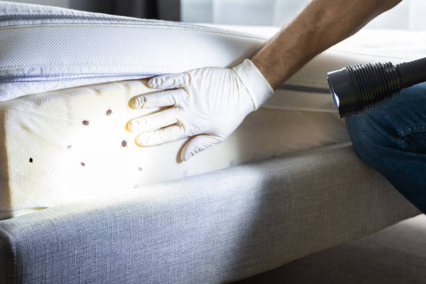 Pest Prevention Services in Mokena, IL