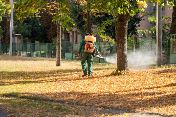 Best Best Pest Control Companies  in Mokena, IL