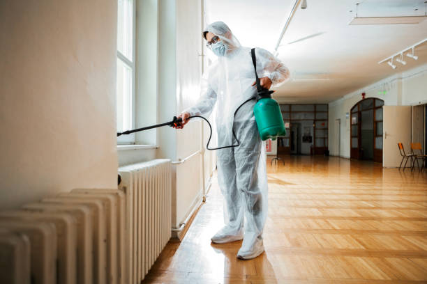 Best Cockroach Control Services  in Mokena, IL