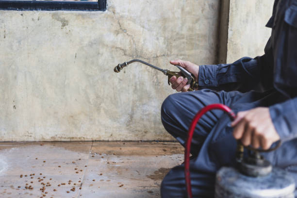 Best Pest Prevention Services  in Mokena, IL