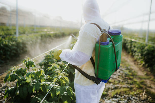 Mokena, IL Pest Control Company
